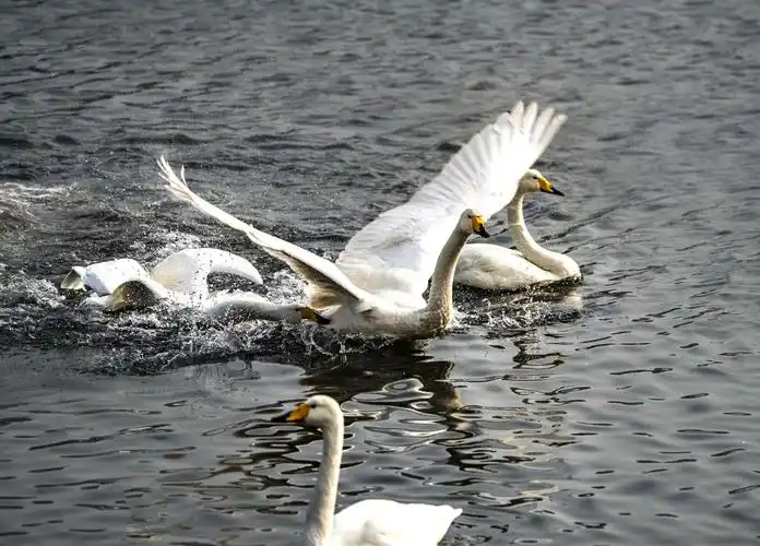 拍摄照片是享受数码时代的信息快感,寻找一份情感归属,一份自己喜欢的