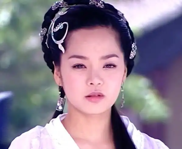 蔡琳在《新醉打金枝》中的古装造型,及不上这部剧美
