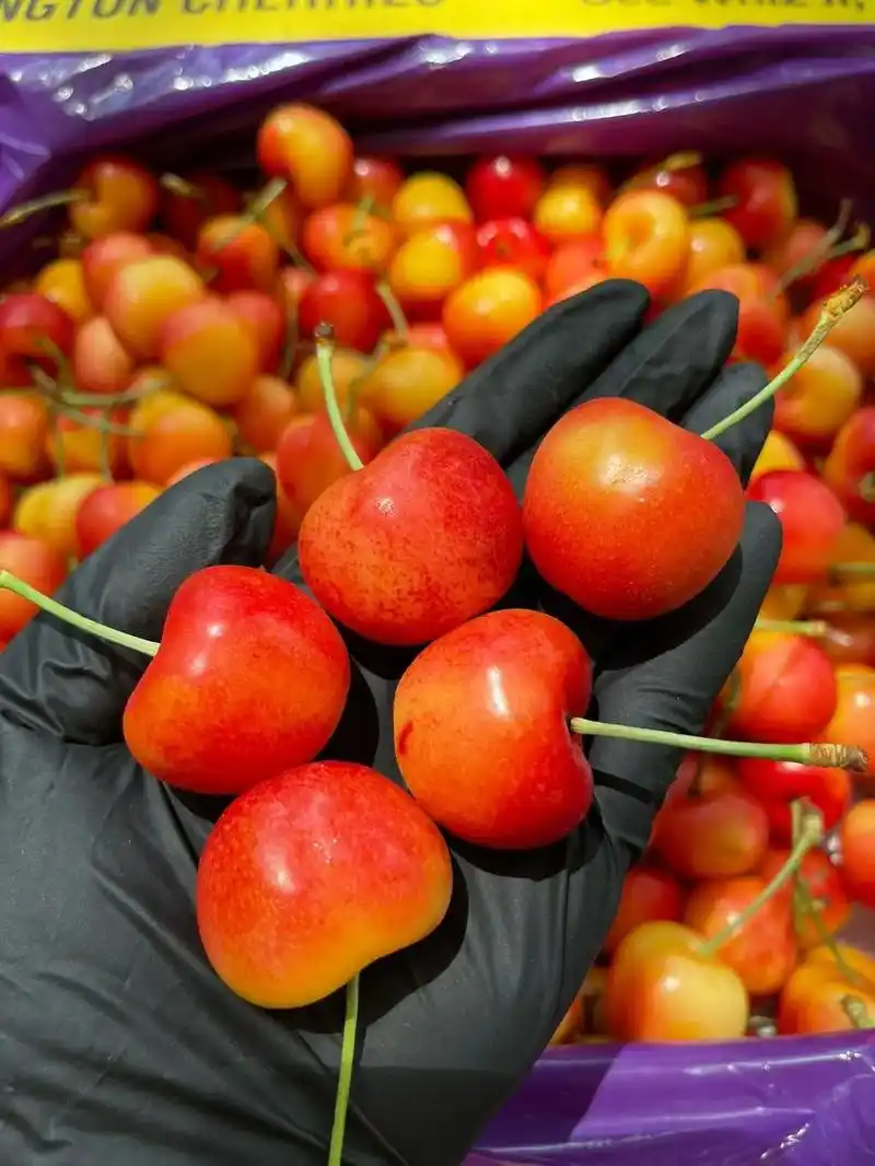 车厘子中的劳斯莱斯91 芝华士黄金车厘 - 抖音