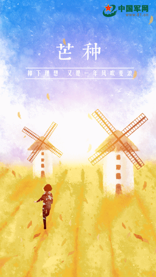 芒种插画种下理想又是一年风吹麦浪