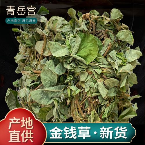 广西正宗大叶广金钱草整捆切段切碎新货干净煮水煲汤茶材料
