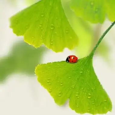 2018适合妈妈用的微信头像图片 中年妈妈用的微信头像风景分享!