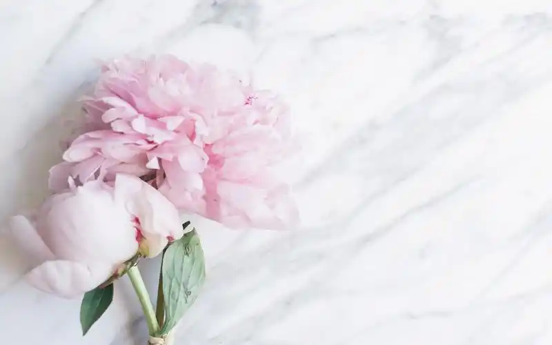 鲜花ppt淡雅背景图片