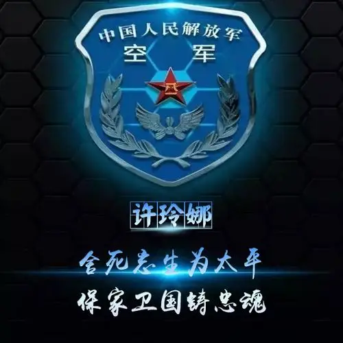 【编号432】爱国军人,空军,军徽-微信头像,百家姓氏微信头像,名字壁纸