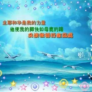 求神拯救世界上的子民 在主里祝福你