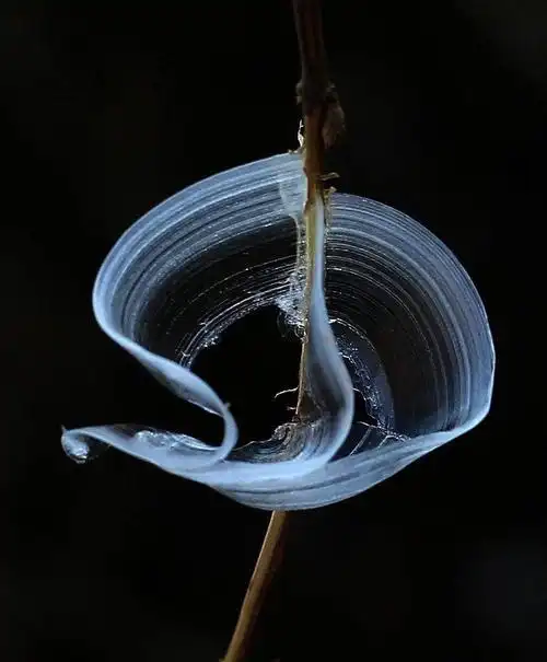 山西侯马冰蝴蝶美景_高清图集_新浪网