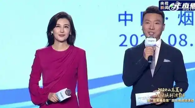 不输董卿气场强大满满一姐范儿|央视|山东省|李红(主持人)_网易订阅