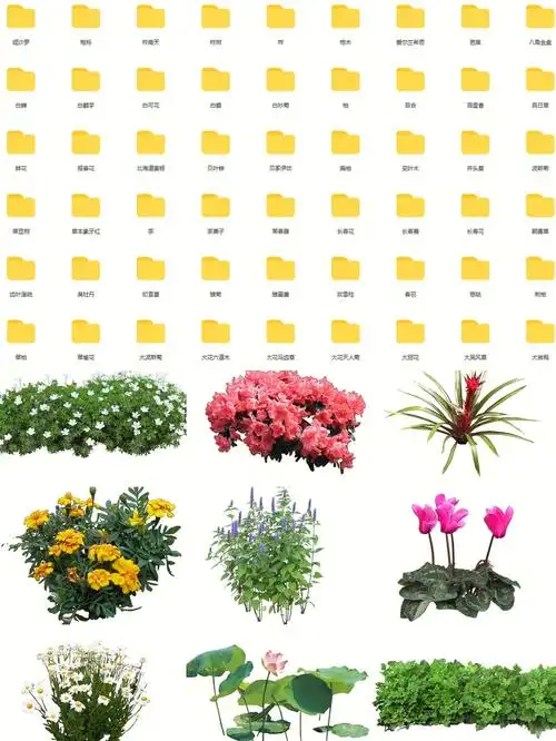 ps  #素材分享  #高清  #高质素材  #植物素材  #植物psd素材