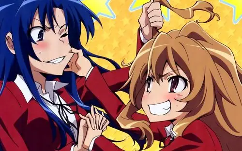 校园真情龙与虎动漫电脑壁纸