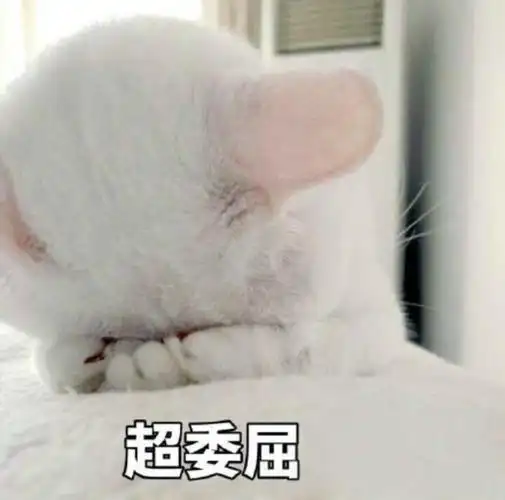 但我不说委屈地哭了起来宝宝委屈,宝宝心里苦委屈生气气委屈