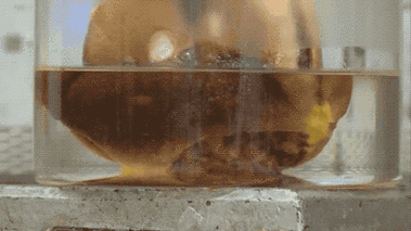 这种"化肉水"比浓硫酸更恐怖,它腐蚀手指时你都没感觉