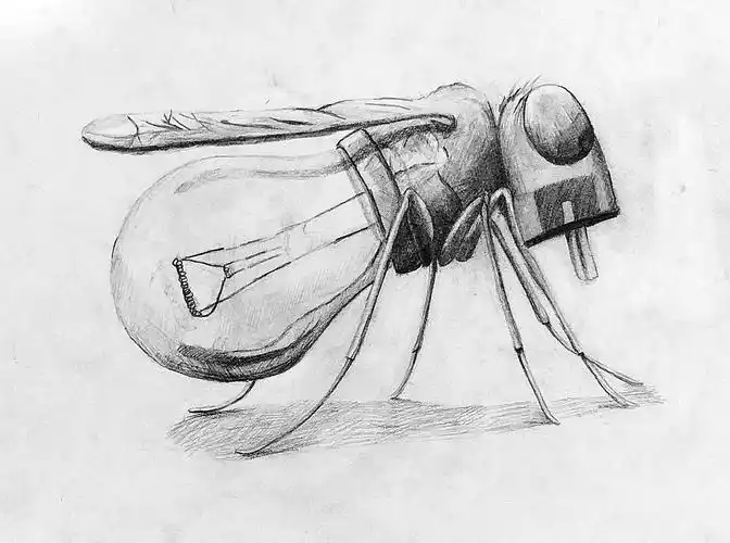 学生"创意素描——动物"作品集!