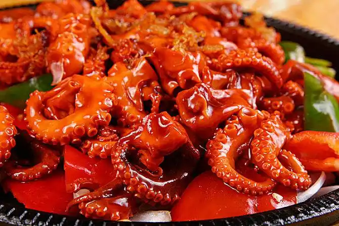 铁板八爪鱼_全景网