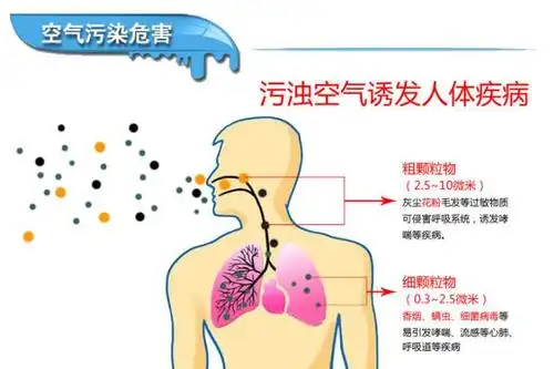 空气污染危害只是耸人听闻?还是你没认真了解过