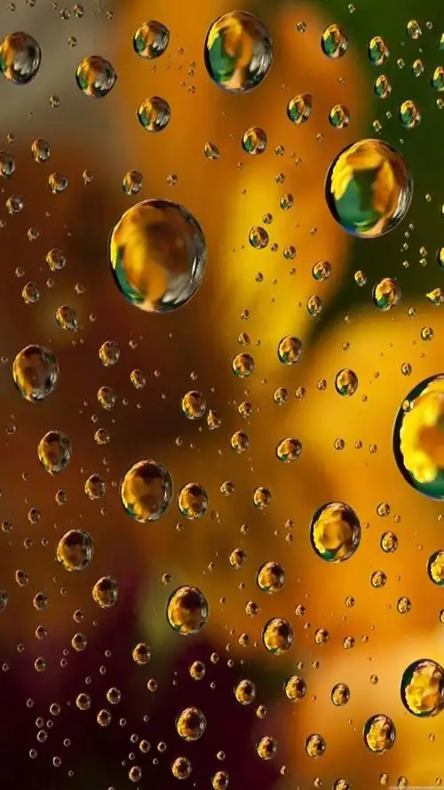 三星手机壁纸1440x2560samsunggalaxynote4