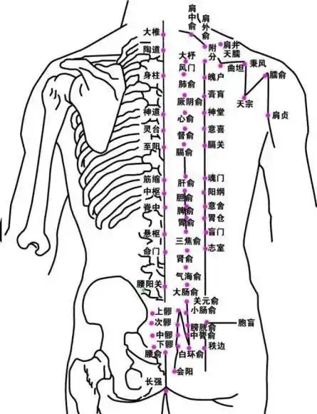试试刮痧!操作简便!安全可靠!疗效显著!