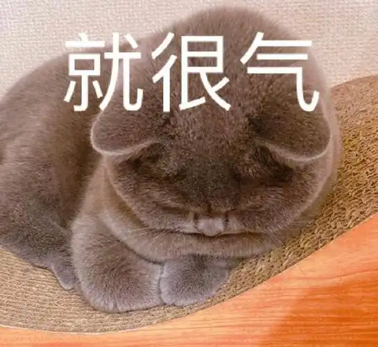 就很气表情包大全搞笑图片表情