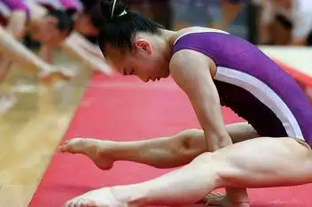 来源:好看视频发布时间:2019-01-1000:19"莫氏空翻"当年一亮相就