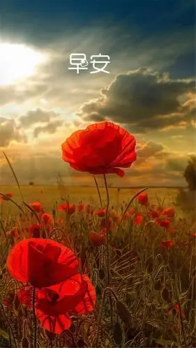 早安小清新风景背景