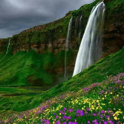 美美的视觉享受美景微信头像适合中老年人的头像