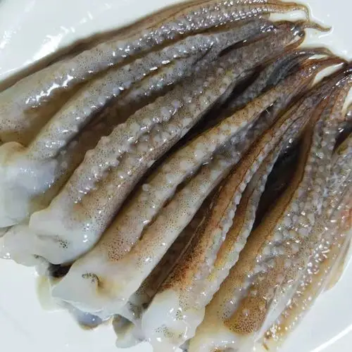 炸串烧烤专用食材超大整只大鱿鱼须鲜活冷冻生鲜半成品鲜由于冰鲜
