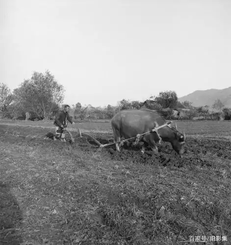 民国时期农民种地劳作珍贵影像
