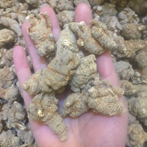 三七七头23头田七250克云南文山水洗45头500克三七