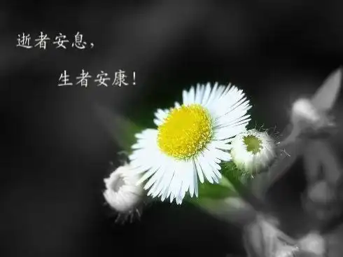 愿逝者安息生者安康什么意思