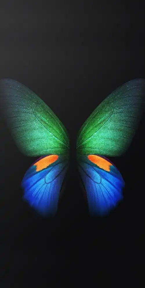 三星s20壁纸超级美