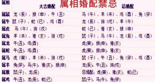 97年的属相婚配表2