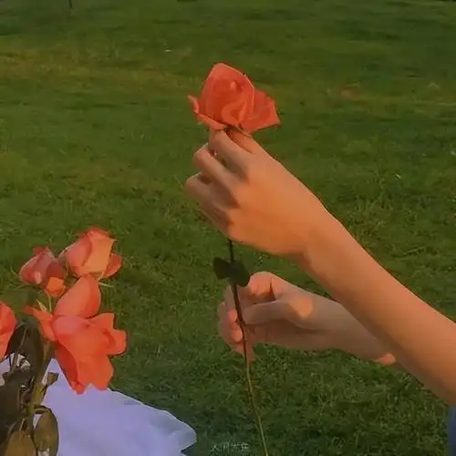 30-40岁女人微信名大全高雅(气质优雅昵称)|三国之家