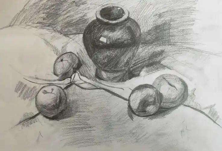 陶妮 素描 四级