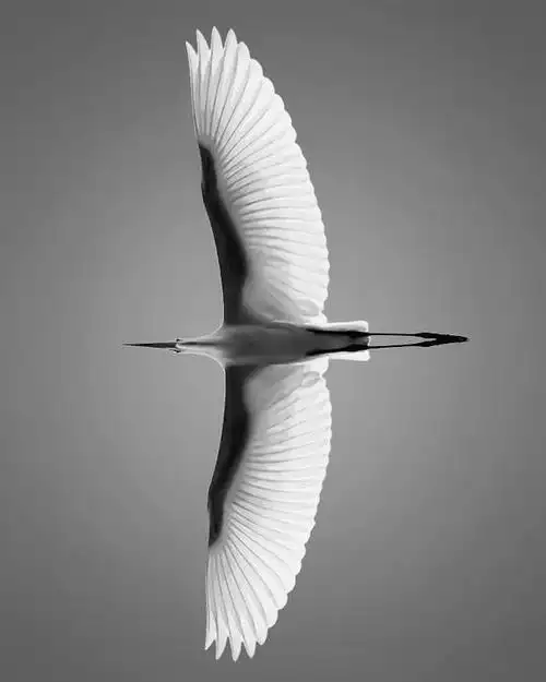 黑白视觉风暴国外摄影师精彩作品欣赏