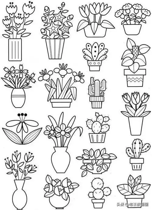 上百种植物简笔画大全做手帐手抄报都可以用上拿去练手吧多肉植物