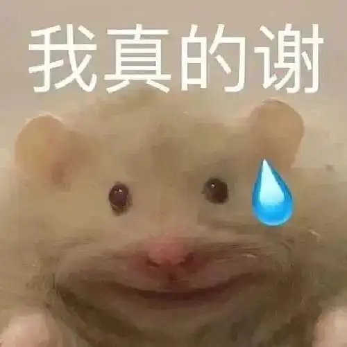 文案##朋友圈搞笑文案##可爱文案##表情包##沙雕表情包##沙雕文案