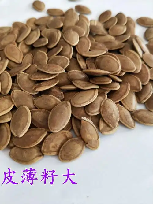 哈喇子流葫芦籽五香葫芦籽瓜子仁独立小包装果开心坚果炒货零食