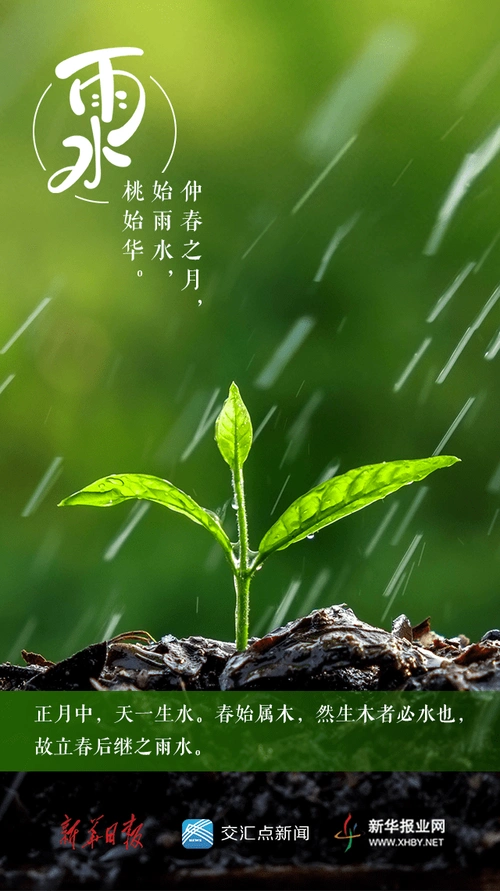 今日雨水_节气_气温