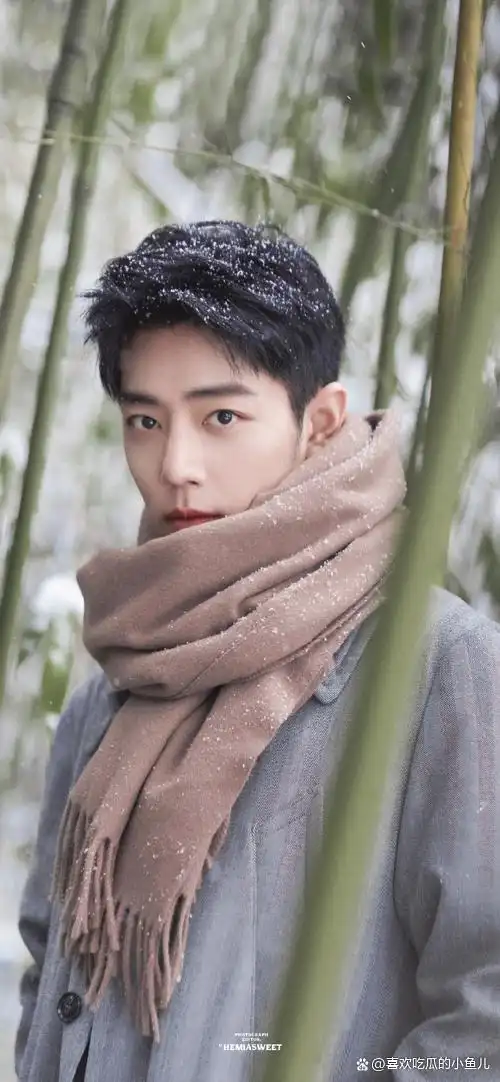 肖战竹林大片实在太好看,忍不住收藏!