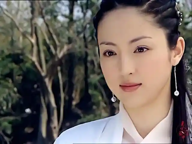 李冰冰,陆毅等众多明星的武侠剧《八大豪侠》