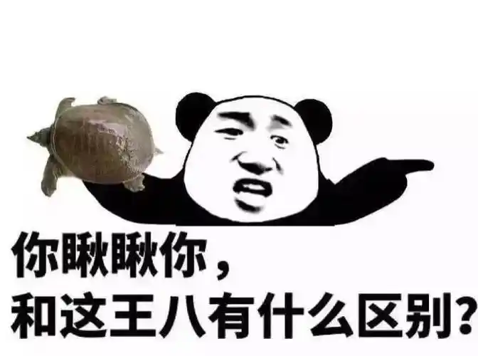 你瞅瞅你和这王八有什么区别
