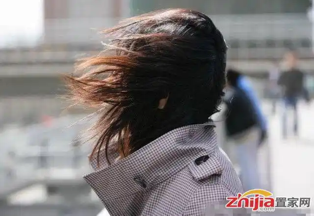 石家庄今天风好大把我都吹傻了,脸都被吹肿了有木有!