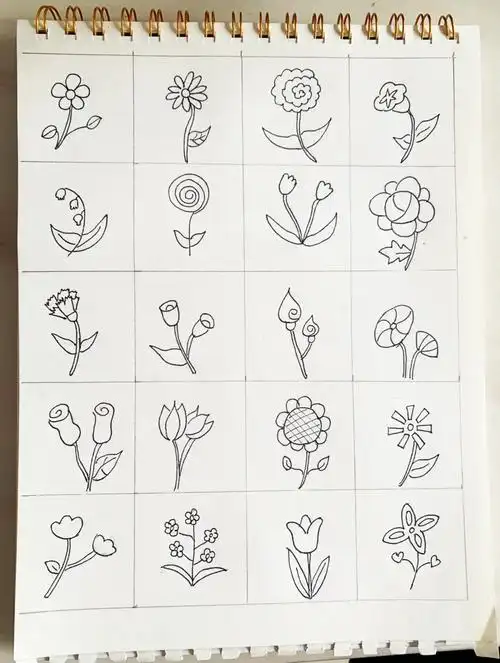 100种花的简笔画