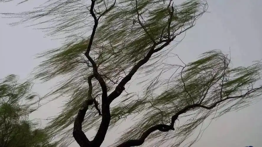 下班后早点回家黄冈人周末也别出门了狂风暴雨今晚就到