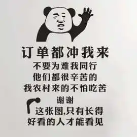 迷彩树叶网