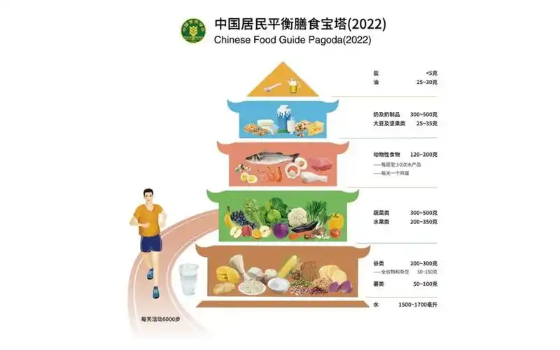 《中国居民膳食指南(2022)》建议"多吃蔬果,奶类,全谷,大豆",其中成年