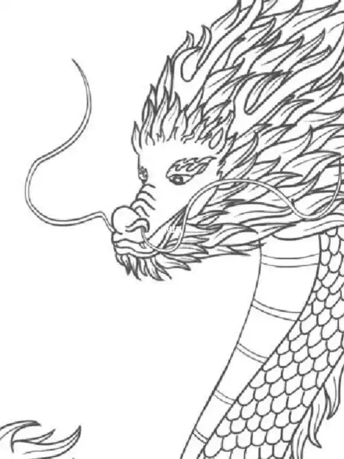 国风元素 | 神兽龙线稿