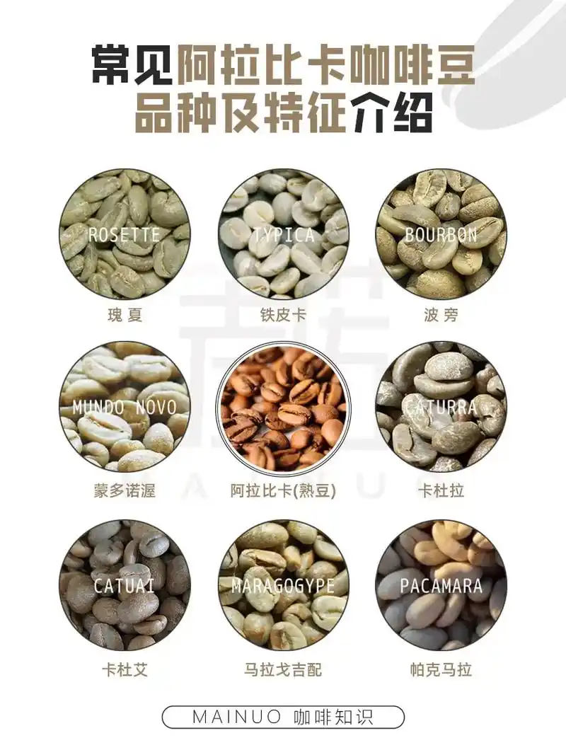 咖啡知识·常见阿拉比卡咖啡豆品种及特征介.