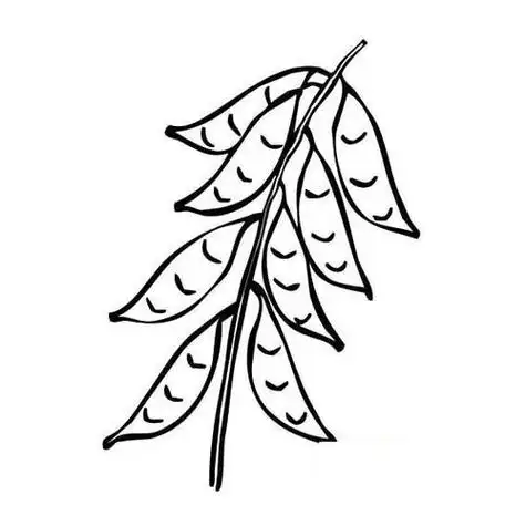 关于农作物的简笔画简单漂亮关于农作物的画法