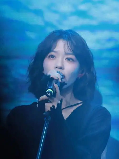 房东的猫演唱会王心怡妆容分享