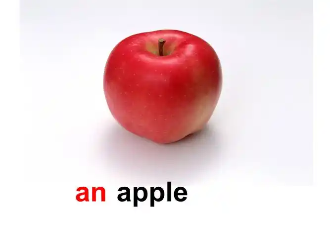 apple an pear   orange an banana